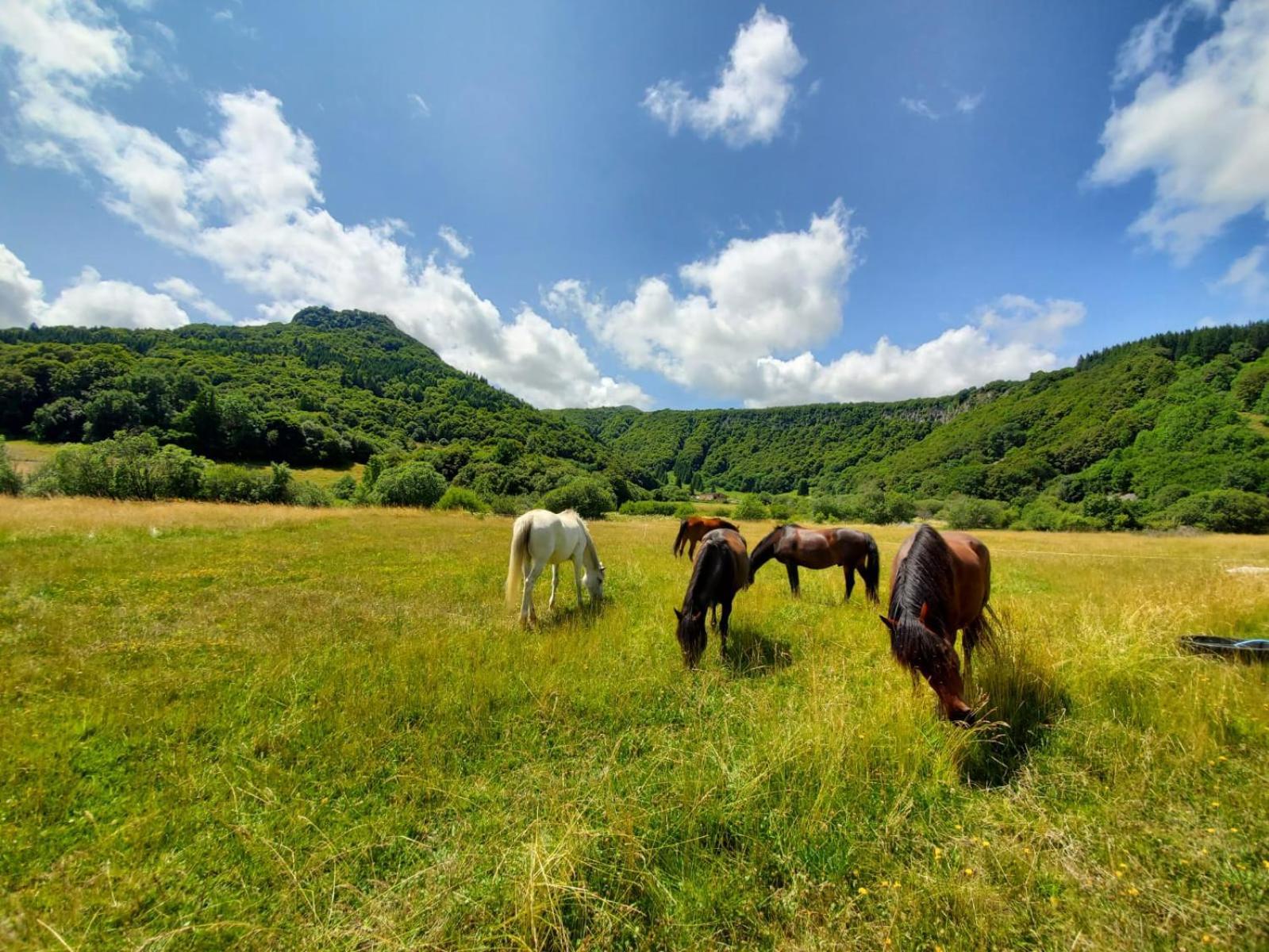 Sancy Resort Chambon-sur-Lac Dış mekan fotoğraf